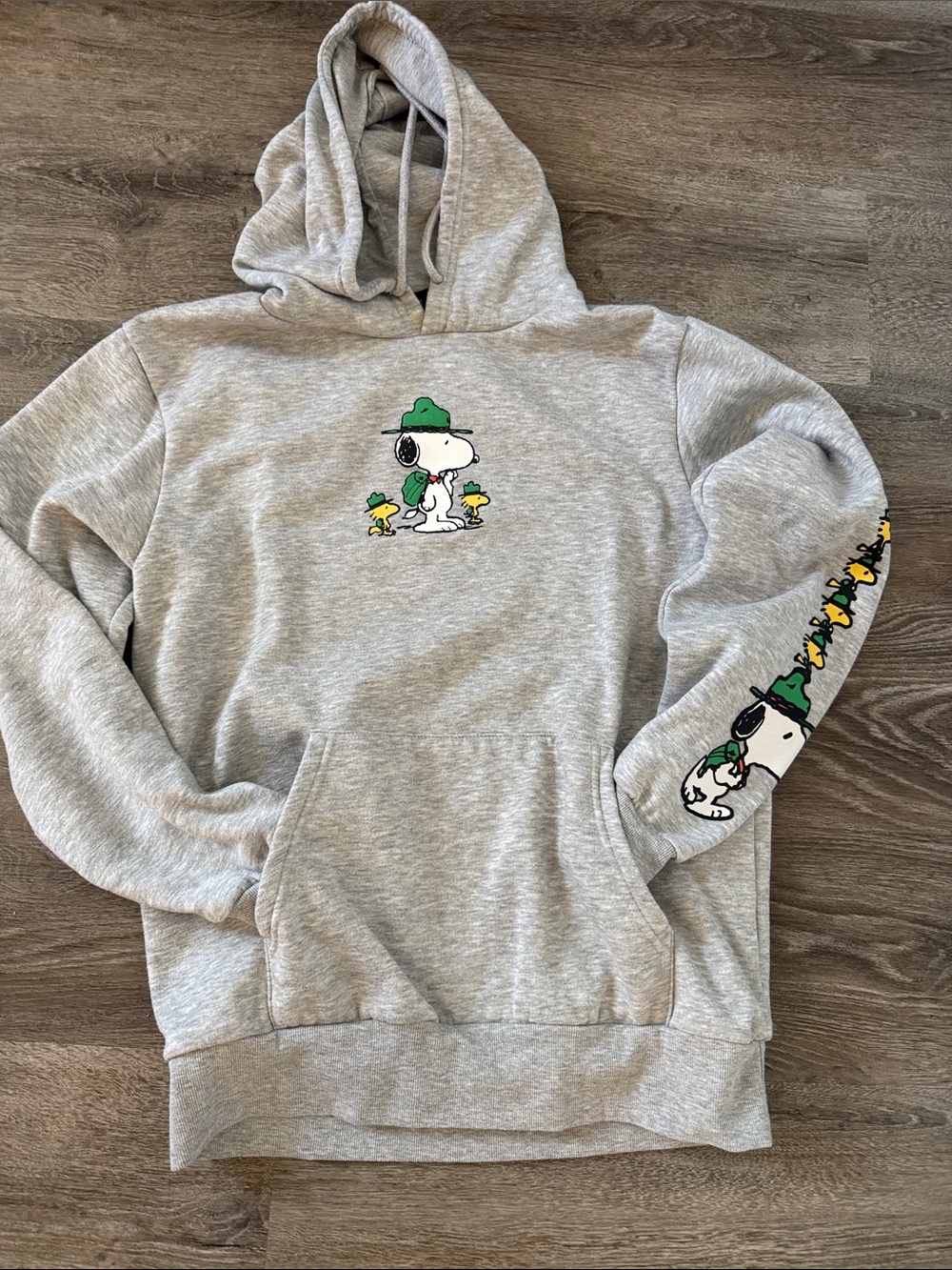 Peanuts adult M Gray Hooded Sweatshirt with Green Snoopy & Woodstock graphic
